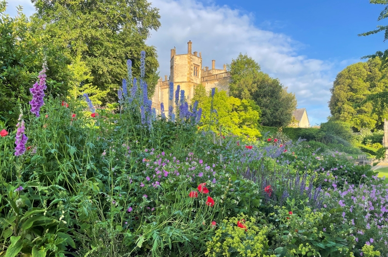 Sherborne Castle